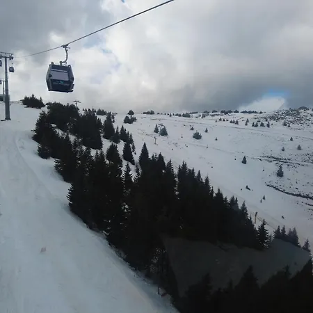Regulus Kopaonik Brzeće