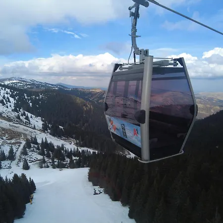 Regulus Kopaonik * Brzeće