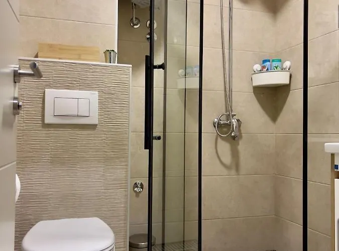 Regulus Kopaonik Brzece