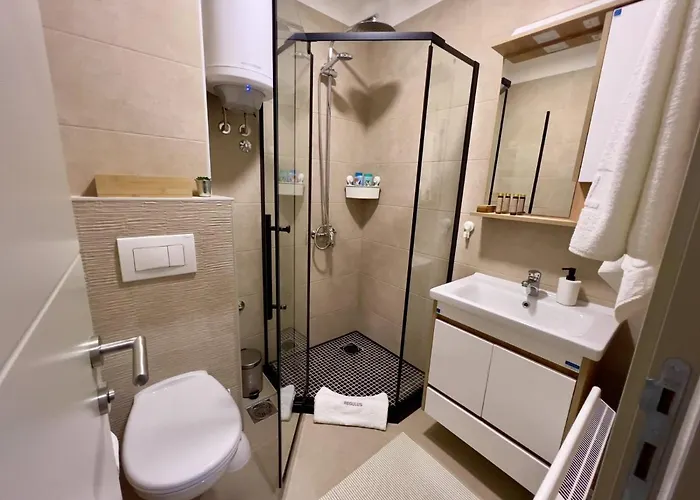 Regulus Kopaonik Brzece