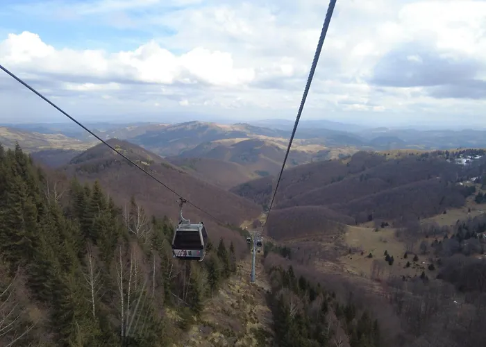 Regulus Kopaonik Apartman Brzece