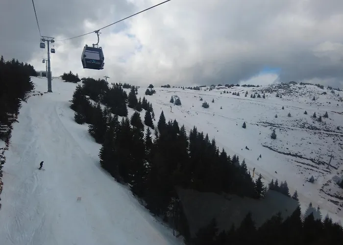 Regulus Kopaonik Brzece
