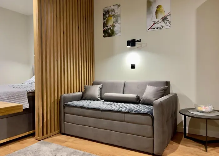 Regulus Kopaonik Brzece