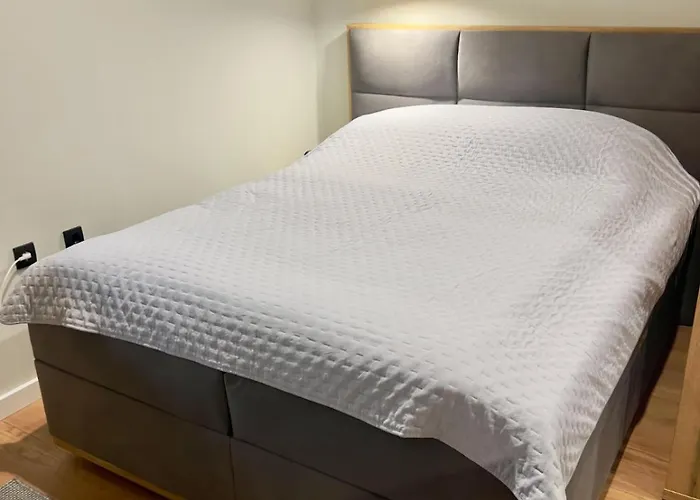 Regulus Kopaonik Apartman Brzece